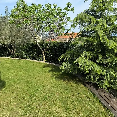 Marija B アパート *