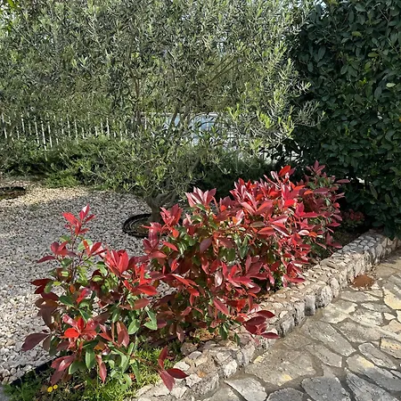 アパート Marija B